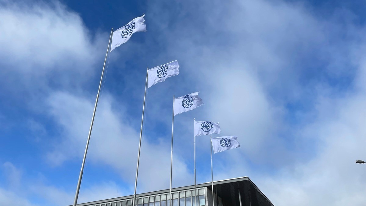 The flags of the Finnish Meteorological Institute are flying on flagpoles against cloudy sky.