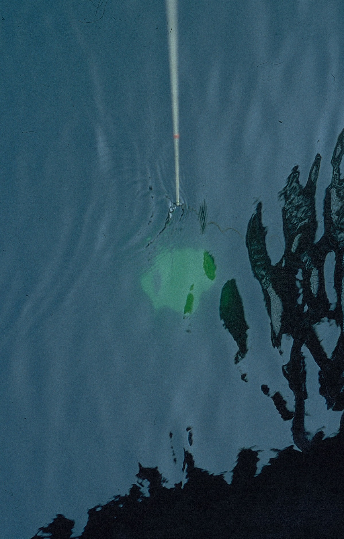 A light disk hanging from a rope in the water.