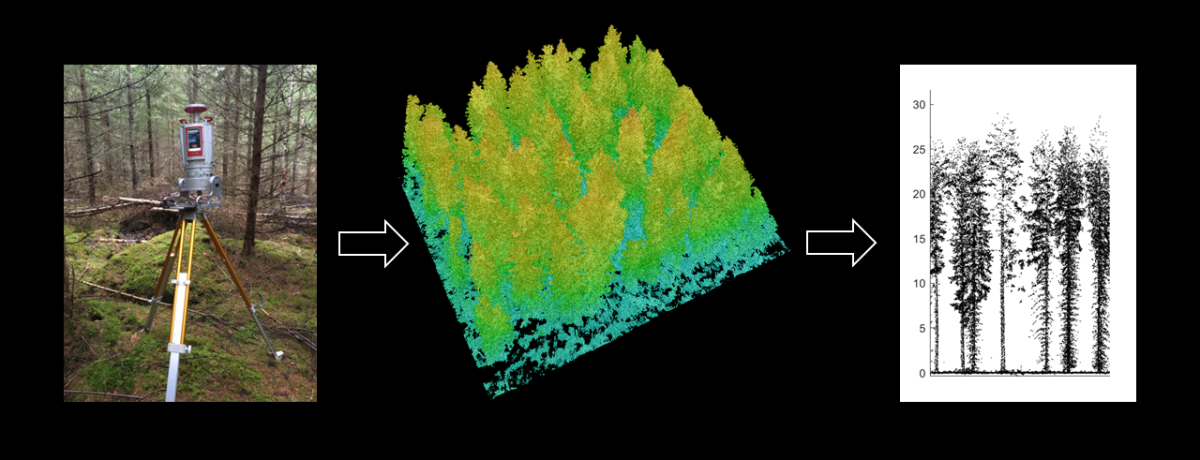 Terrestrial laser scan device and a 3D image of forest produced by laser scanning.