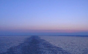 Thin ice outside of a ship track.