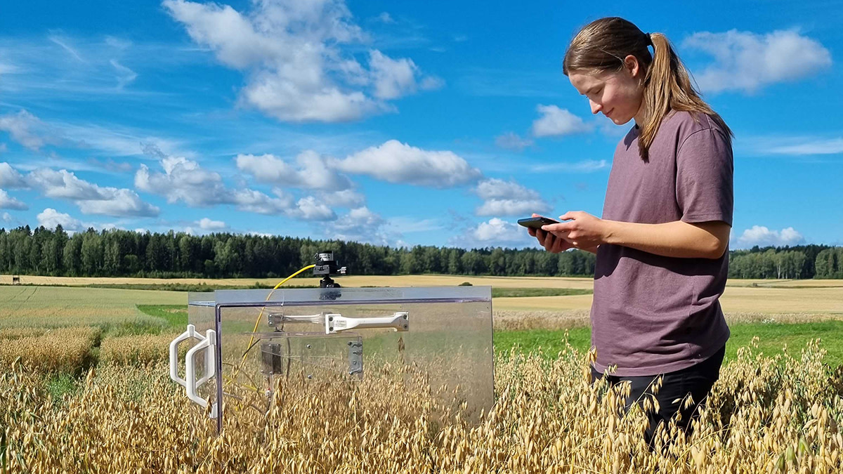 A person stands in a summer field next to a measuring device, holding a mobile phone.