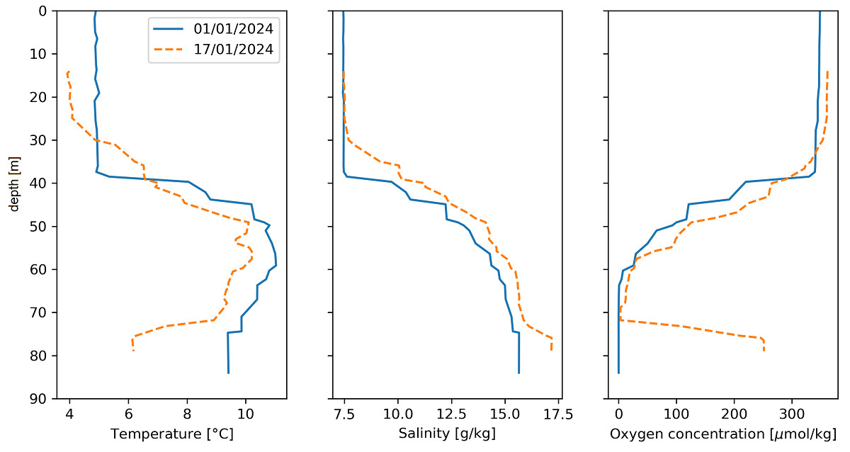 Three graphs show how sea water has changed after a Blatic Inflow. In the deepest part temperature has decreased and oxygen concentration increased significcantly. Salinyty has increased slightly all over the water body., 