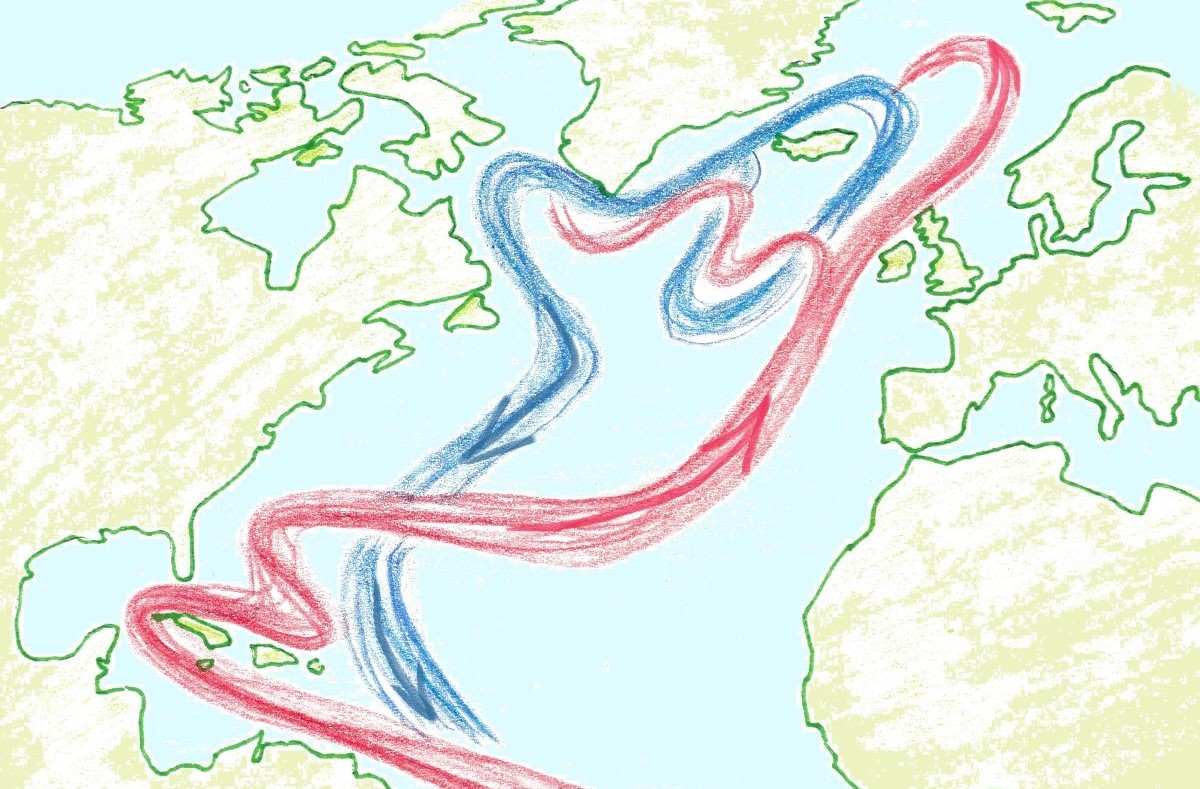 A chart of Atlantic Ocean where the warm current floes from the Carribean Sea to northeast towards Europe and the cold current floes beneath it back towards southwest.