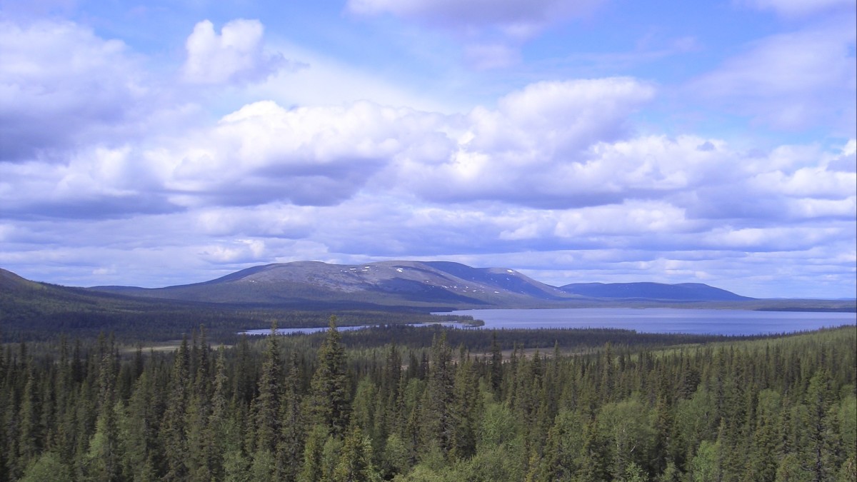 Landscape with forest, lake and fells