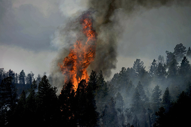 IBA FOREST FIRES - Finnish Meteorological Institute