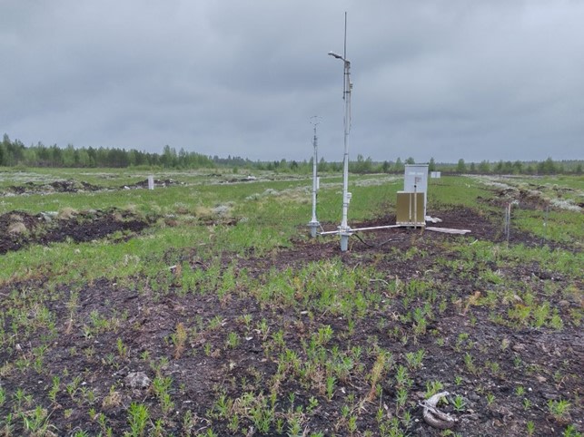 Naarasneva (photo by: Kari Laasasenaho)