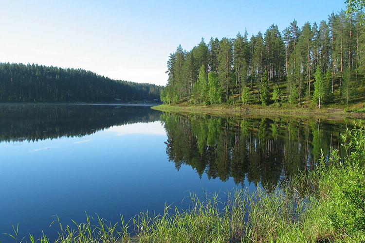Lake, blue sky and pineforest from Finland.