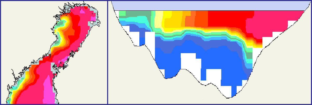 On a chart of Bay of Bothnia sea is warmer on the Finnish coast and colder on the Swedish coast. A profile image of the sea water hows how water is cold in the bottom and west and warmest in the eastern surface.